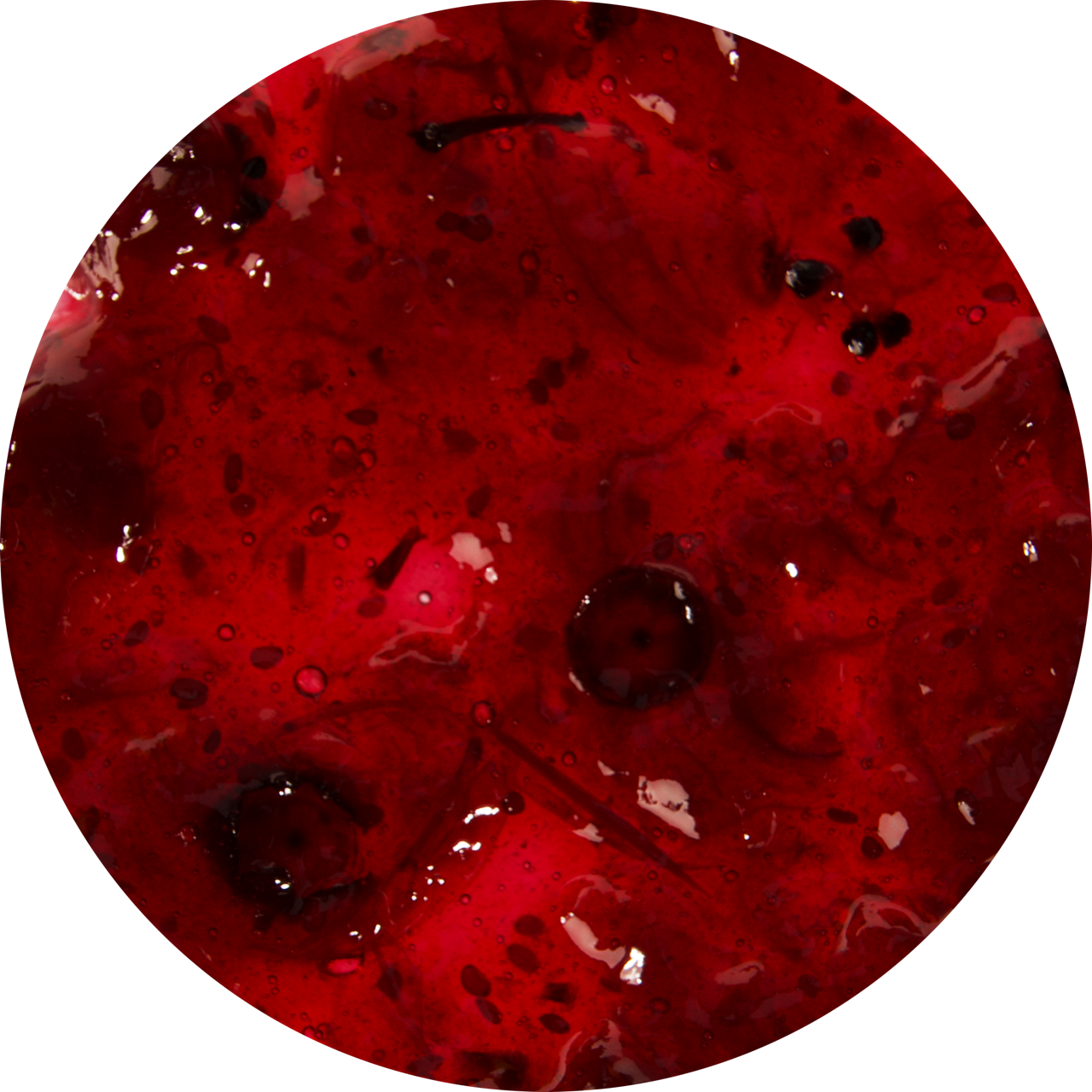 Heidelbeere Fruchtaufstrich